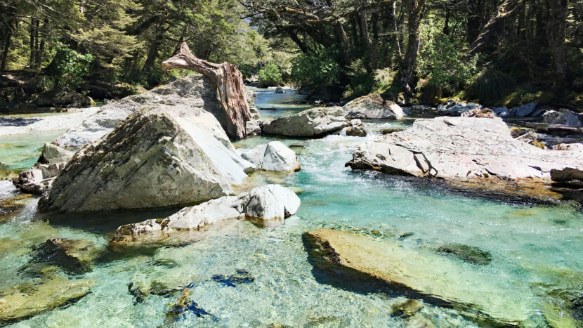 川底まで見える清流