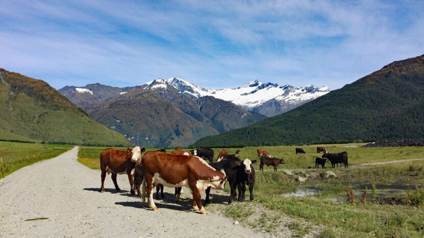 牧草地の未舗装路を登山口に向かいます